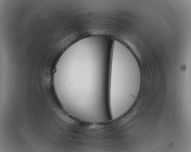 X0000097460261200802220813