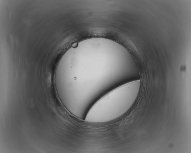 X0000097460262200802220813
