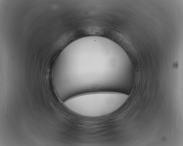 X0000097460263200802220813