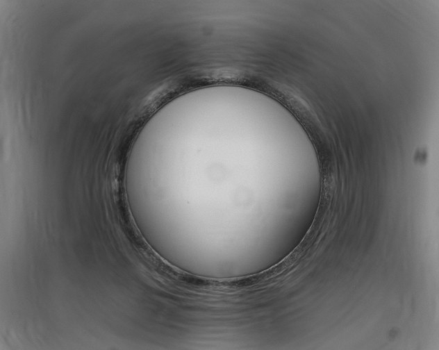 X0000097460264200802220814