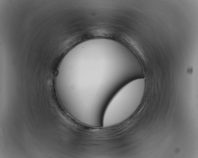 X0000097460265200802220814