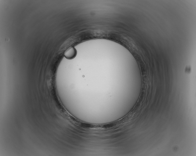 X0000097460266200802220814