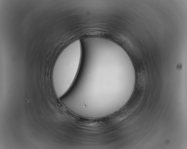 X0000097460267200802220814