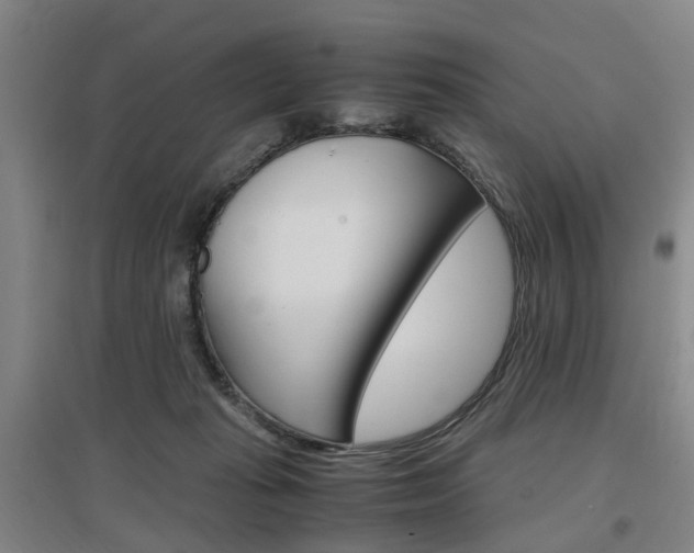 X0000097460269200802220814