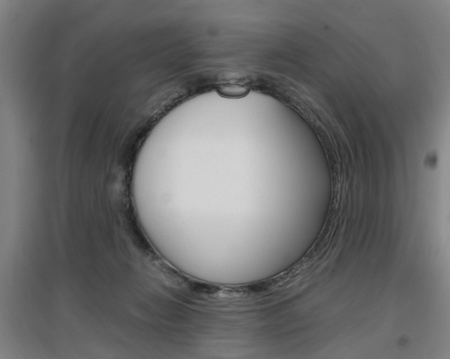 X0000097460270200802220814
