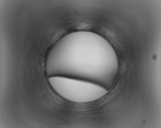 X0000097460273200802220814