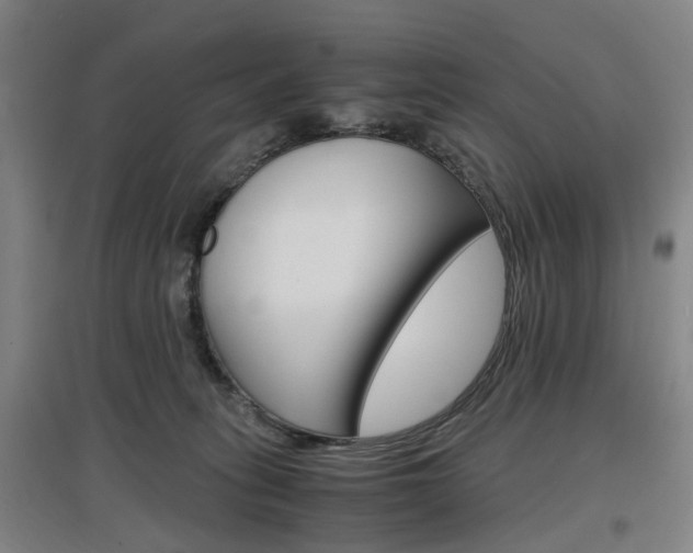 X0000097460275200802220814