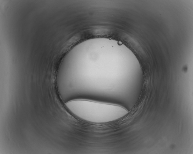 X0000097460277200802220814
