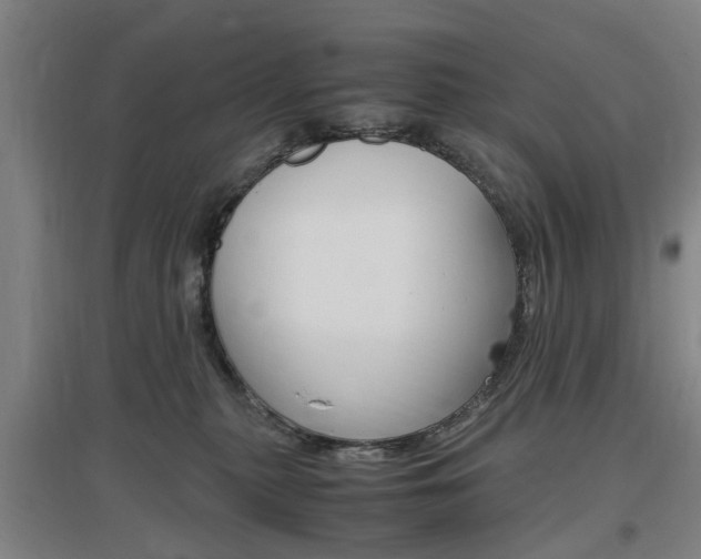X0000097460279200802220814