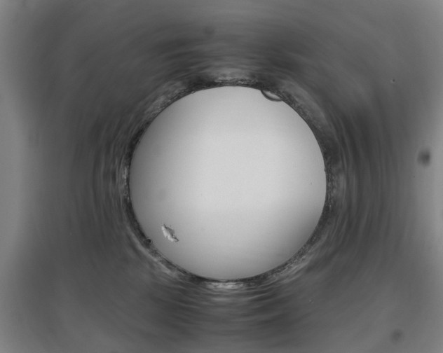 X0000097460281200802220814