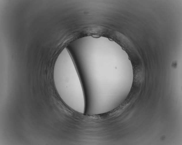 X0000097460282200802220814