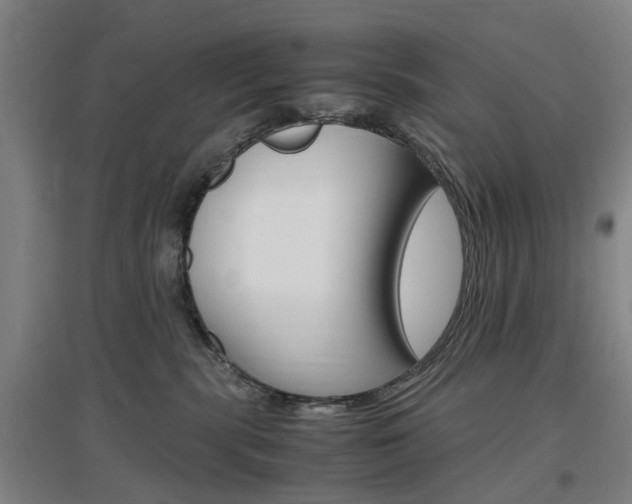 X0000097460283200802220814