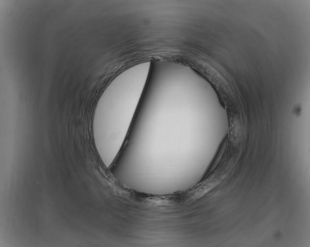 X0000097460284200802220814
