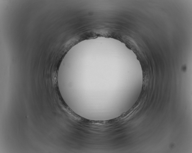 X0000097460285200802220814