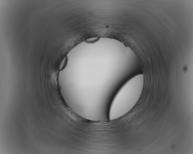 X0000097460286200802220814