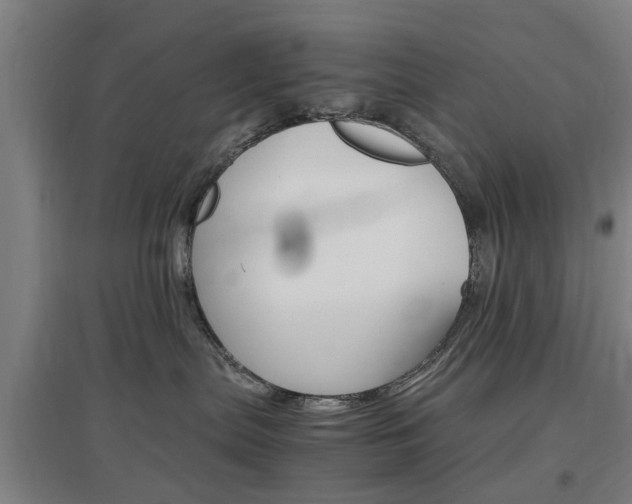 X0000097460287200802220814