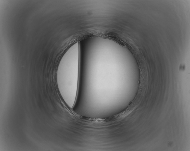 X0000097460288200802220814