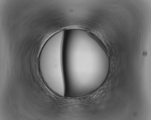X0000097460289200802220813