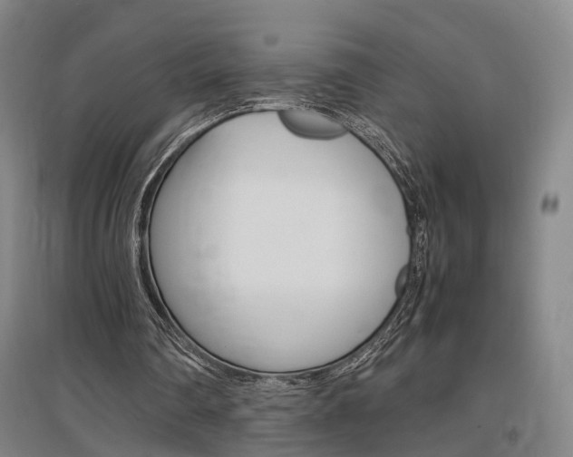 X0000097460290200802220813