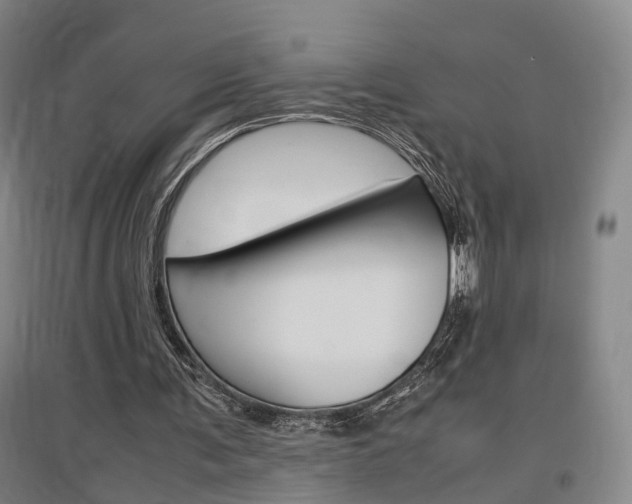 X0000097460291200802220813