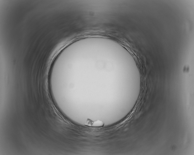 X0000097460293200802220813
