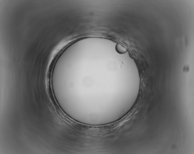 X0000097460294200802220813