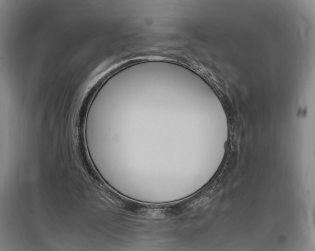 X0000097460295200802220813