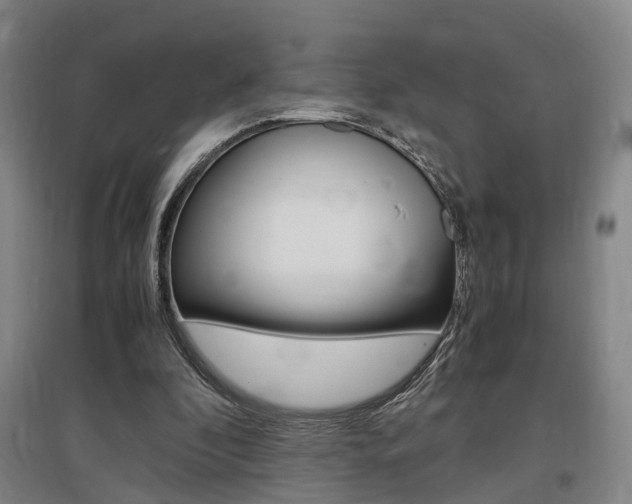 X0000097460296200802220813