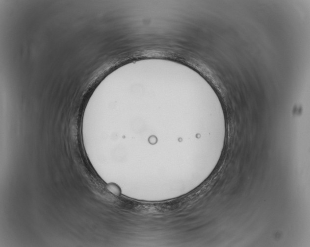 X0000097460297200802220813