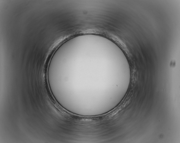 X0000097460298200802220813