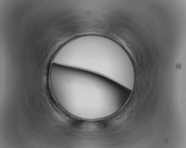 X0000097460299200802220813