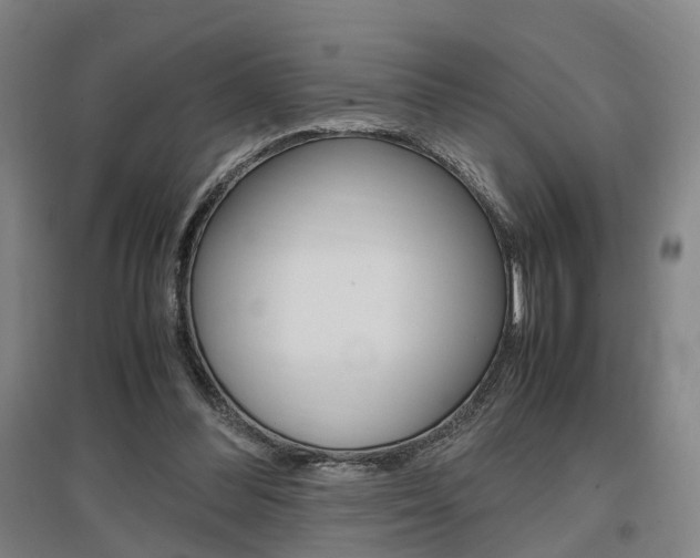 X0000097460300200802220813