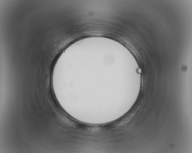 X0000097460301200802220813