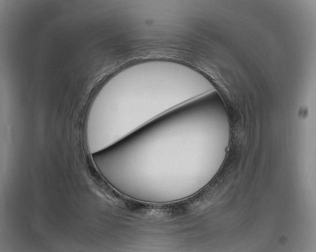 X0000097460303200802220813