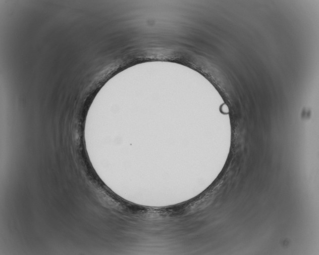 X0000097460305200802220813