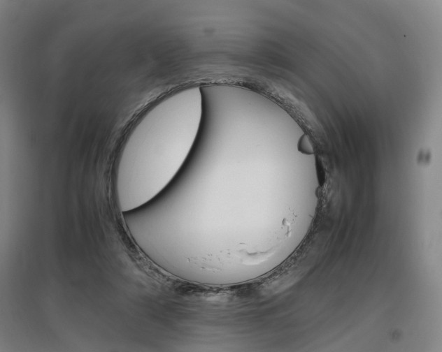 X0000097460306200802220813