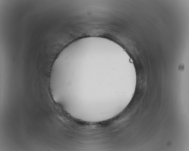 X0000097460307200802220813
