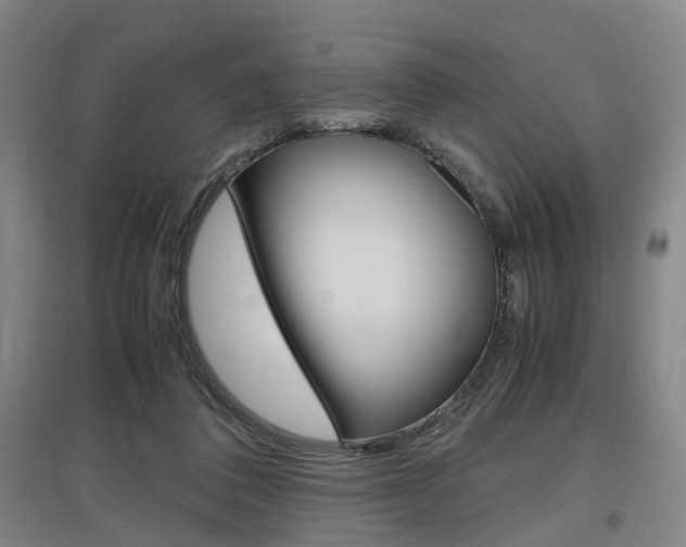 X0000097460308200802220813