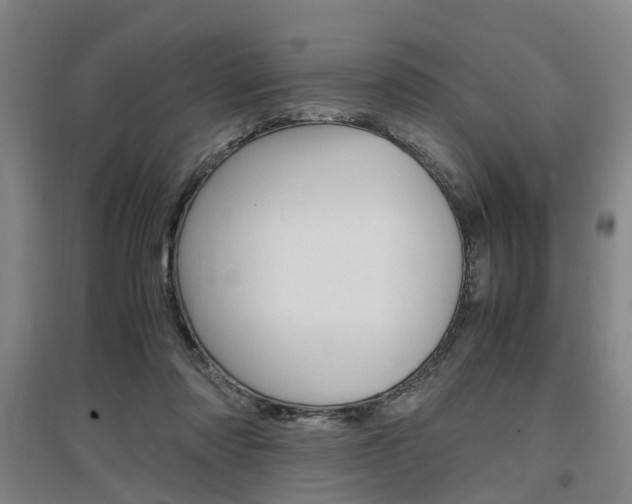 X0000097460310200802220813