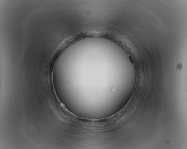 X0000097460312200802220813