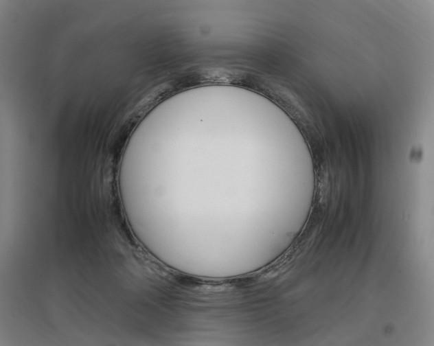 X0000097460314200802220813