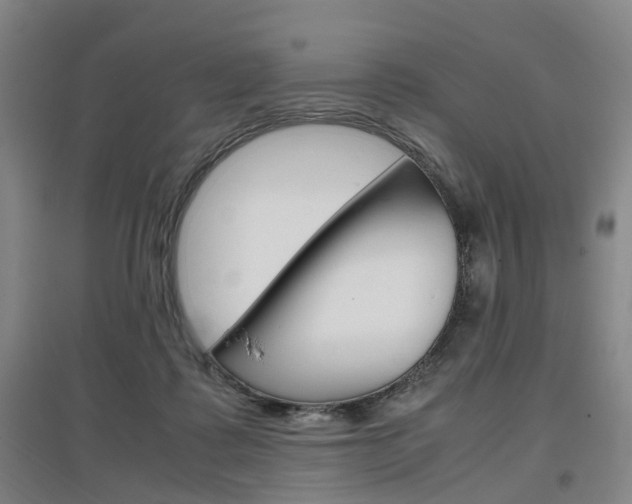 X0000097460315200802220813