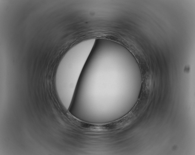 X0000097460316200802220813