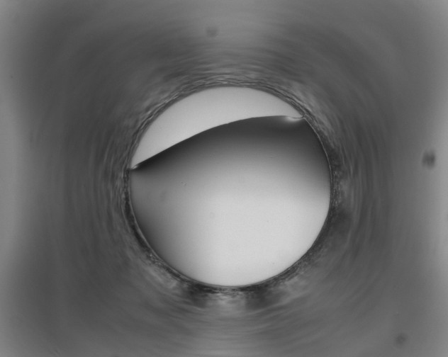 X0000097460317200802220813