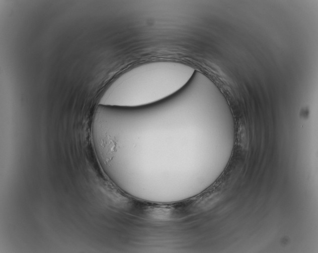 X0000097460318200802220813