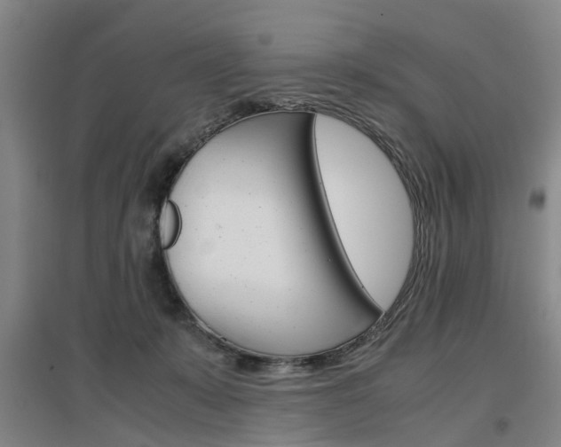 X0000097460319200802220813
