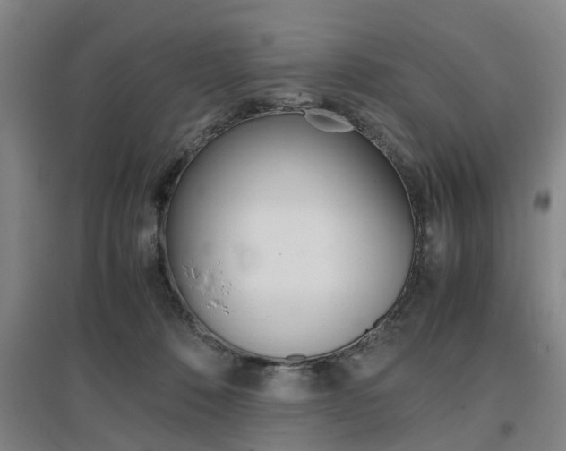 X0000097460320200802220813