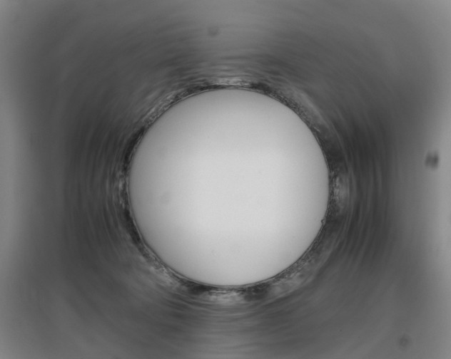 X0000097460322200802220813