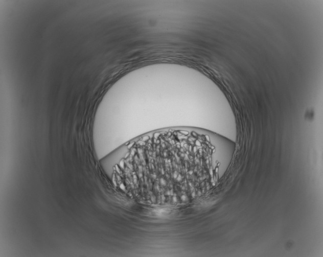 X0000097460323200802220813