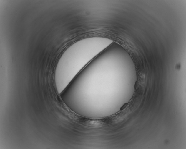 X0000097460324200802220813